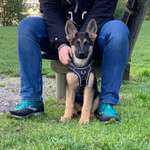 Ersteller:in Tami Profilbild