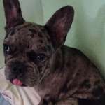 Ersteller:in Simone Profilbild