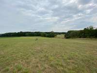 Hundeauslaufgebiet-Altes Truppen Gelände-Bild