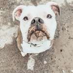 Ersteller:in Sandra Profilbild