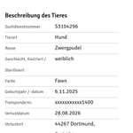 Suchmeldung-Anouk-Bild