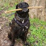 Ersteller:in Angelika Profilbild