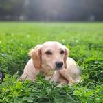 Ersteller:in Tai Profilbild