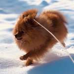 Ersteller:in Nina Profilbild