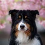 Ersteller:in Jasi & Markus Profilbild