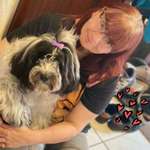 Ersteller:in E. Profilbild