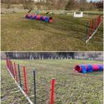 Hundeauslaufgebiet-Hundefreunde Baunach-Bild