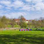 Hundeauslaufgebiet-Hundefreunde Baunach-Bild