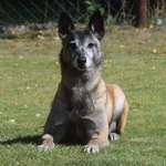 Ersteller:in Heike Profilbild