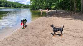 Hundeauslaufgebiet-Grunewaldsee-Bild