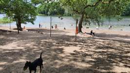 Hundeauslaufgebiet-Grunewaldsee-Bild