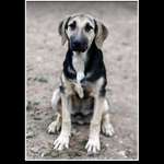 Ersteller:in Nettchen Profilbild