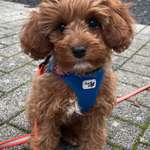 Ersteller:in Alex Profilbild