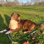 Ersteller:in Chantal Profilbild