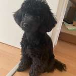 Ersteller:in Alina Profilbild