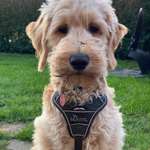 Ersteller:in Kirsten Profilbild