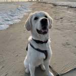 Ersteller:in Marie Profilbild