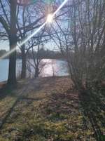 Hundeauslaufgebiet-Anglerseen-Bild