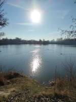 Hundeauslaufgebiet-Anglerseen-Bild