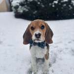 Ersteller:in Lena Profilbild