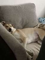 Was steckt in Ihr? (Sara)-Beitrag-Bild