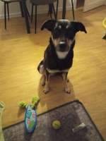 Trick: Festhalten-Beitrag-Bild