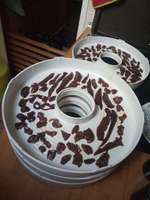 Fleisch und Innereien dörren-Beitrag-Bild