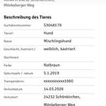 Suchmeldung-Runa-Bild