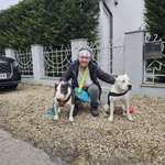 Ersteller:in Kukla Profilbild