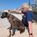 Ersteller:in Rainer Profilbild