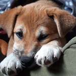 Ersteller:in Cora Profilbild