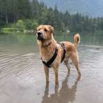 Ersteller:in Nina Profilbild