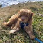 Ersteller:in Katja Profilbild