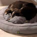 Ersteller:in Laura Profilbild