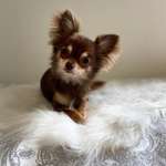 Ersteller:in Lena Profilbild