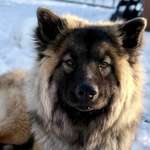 Ersteller:in Lena Profilbild