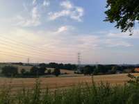 Hundeauslaufgebiet-Wald am Silberknapp-Bild