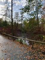 Hundeauslaufgebiet-Stattrop Aue-Bild