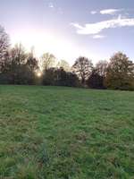 Hundeauslaufgebiet-Stattrop Aue-Bild