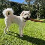 Ersteller:in Sabine Profilbild