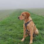 Ersteller:in Leonie Profilbild