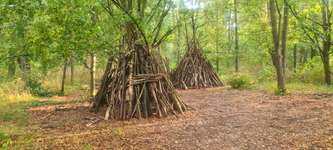 Hundeauslaufgebiet-Waldstück hinterm Herrnsheimer See-Bild