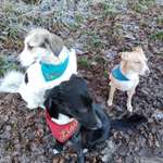 Ersteller:in Steffie Profilbild