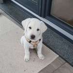 Ersteller:in Verena Profilbild