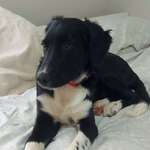 Ersteller:in Michelle Profilbild