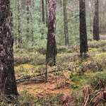 Ersteller:in Hannah Profilbild