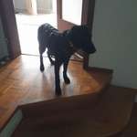 Ersteller:in Rolf Profilbild