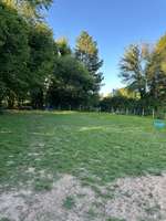 Hundeauslaufgebiet-Bad Königer
Hundespielwiese-Bild