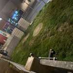 Hundeauslaufgebiet-Hundewiese Hanau am Kino-Bild