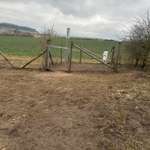 Hundeauslaufgebiet-Hundewiese Ober Ramstadt-Bild